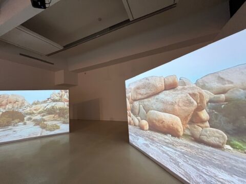 Torrance Art Museum, Angels Gate Cultural Center, and Palos Verdes Art