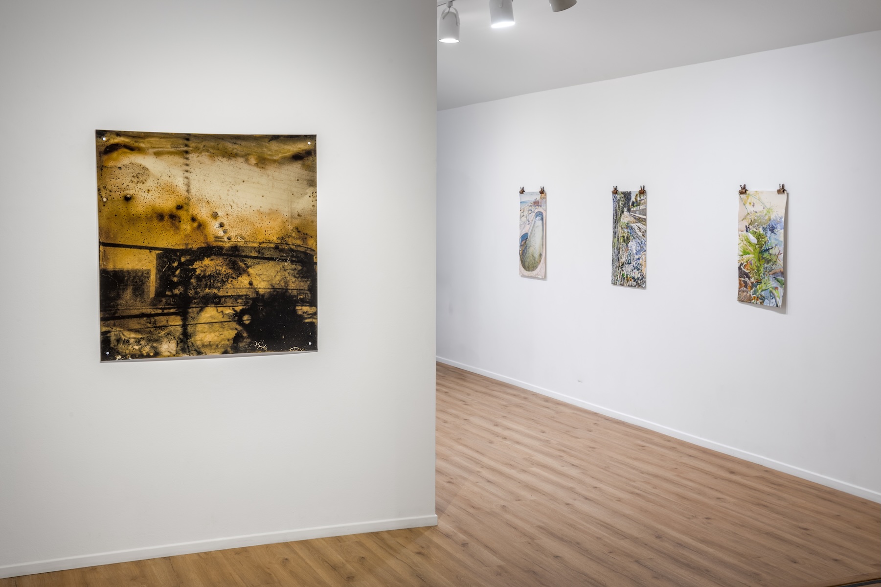 Fluid Dynamics | Angels Gate Cultural Center